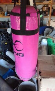 sting boxing bag